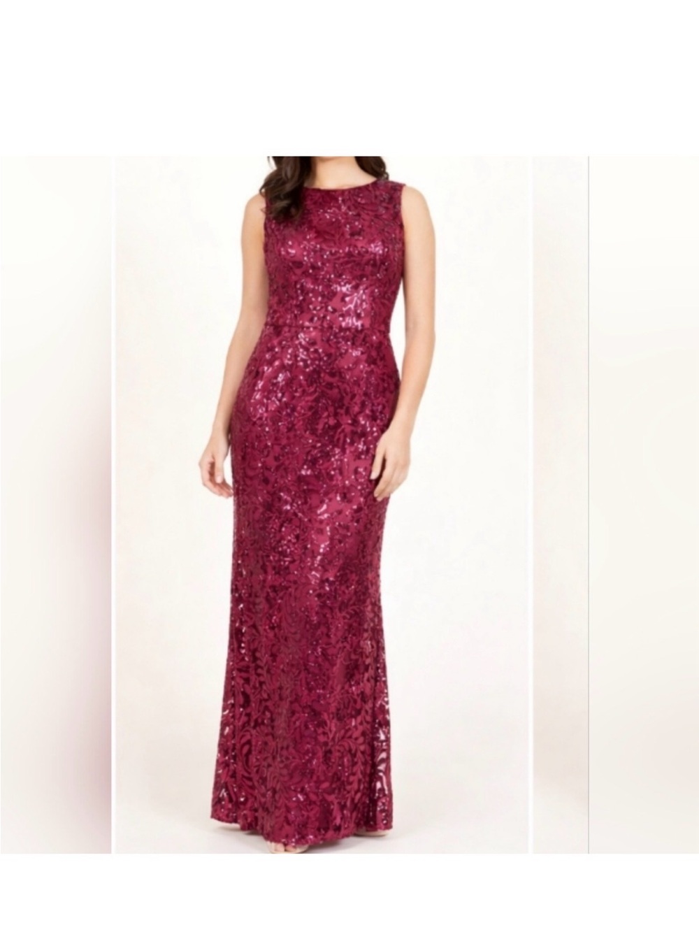 Eliza J Sleeveless Sequins
Embroidered Full Gown in Wine
Red Size 6 Back Detail